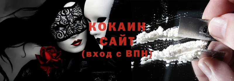 Cocaine FishScale  где найти   Алдан 